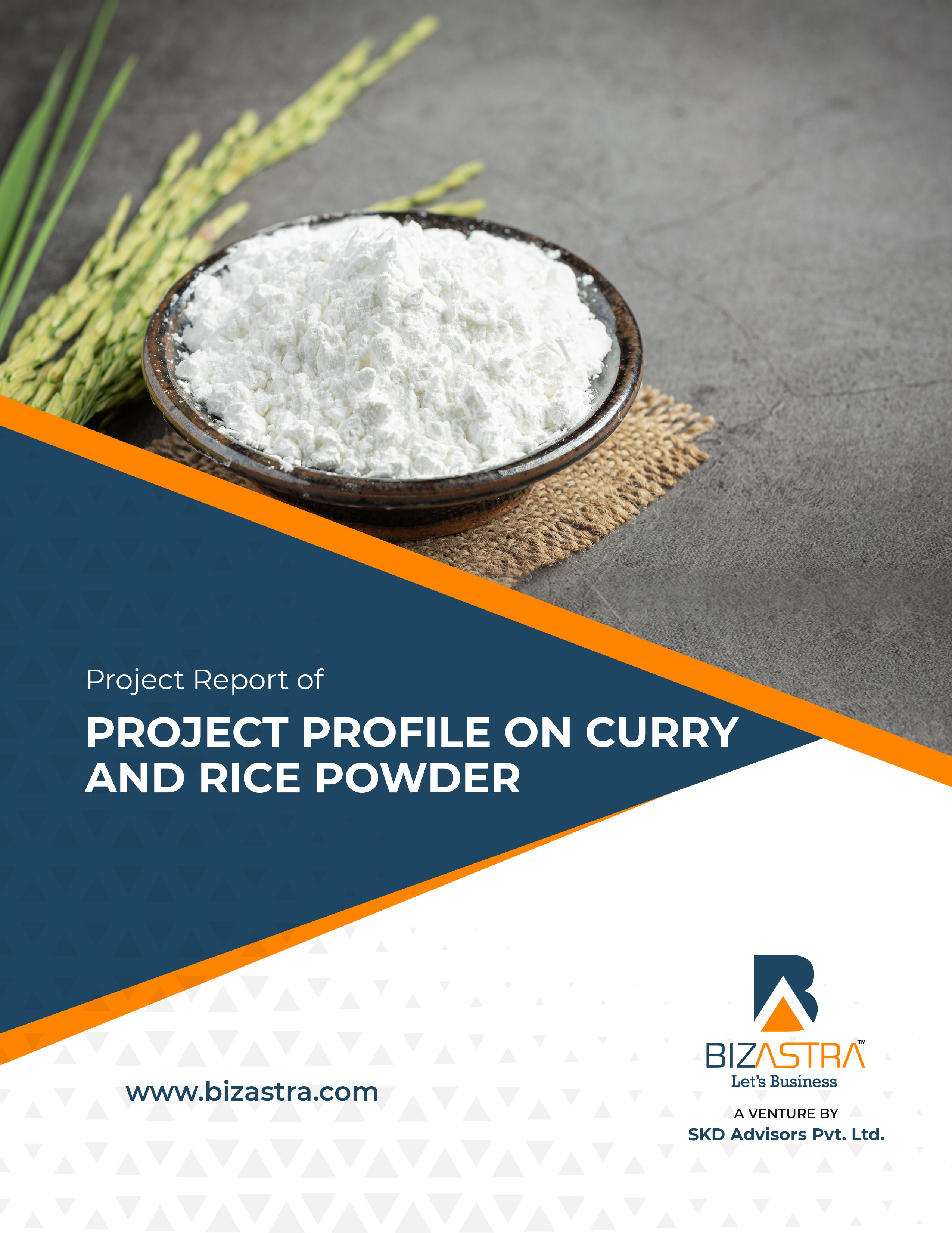 Project Profile on Curry and Rice Powder